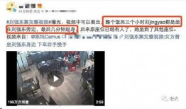 刘强东事件爆料了吗视频,真相与争议再掀波澜